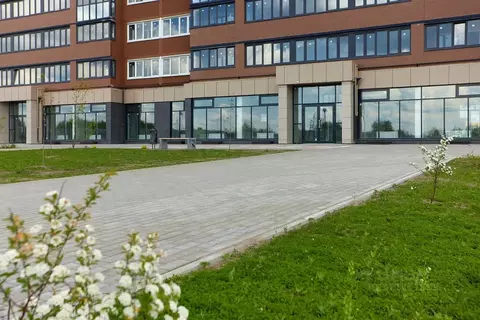 Помещение свободного назначения в Брянская область, Брянск ул. Имени ...