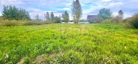 Участок в Колыванский район, садовое товарищество Вилана, Лесная улица ...