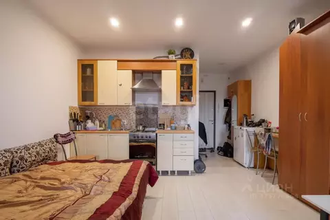 Студия Санкт-Петербург, Санкт-Петербург, Колпино ш. Рубежное, 12 (28.5 ...