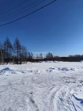 Участок в Сахалинская область, Анивский городской округ, с. Мицулевка ...