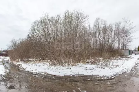 Участок в Тюменская область, Тобольский муниципальный округ, Заречное ...