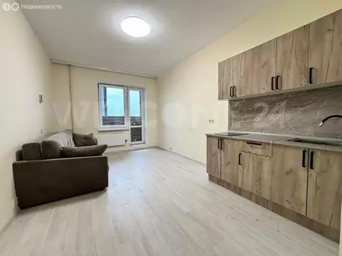 Квартира-студия: Ногинск, Юбилейная улица, 4А (22.2 м)