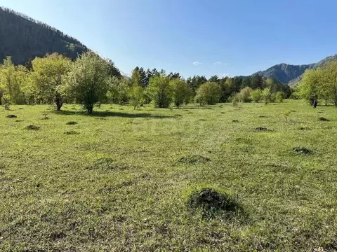 Участок в Алтай, Чемальский район, Узнезинское с/пос, с. Узнезя пер. ...