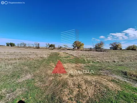 Участок в Сакский район, Молочненское сельское поселение, село ...