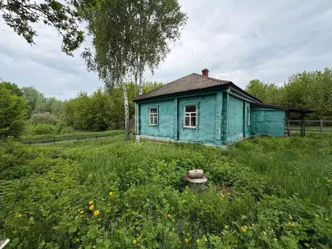 Дом в Воронежская область, Нижнедевицкий район, Вязноватовское с/пос, ...