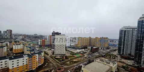 1-к кв. Рязанская область, Рязань Быстрецкая ул., 22 (29.7 м)