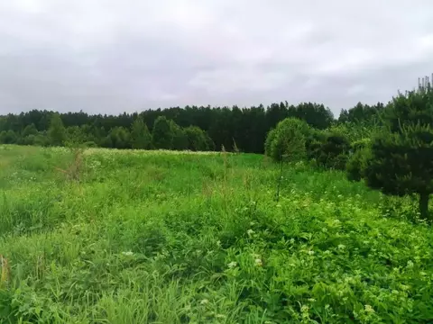 Участок в Тверская область, Калининский муниципальный округ, д. ...