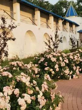 1-к кв. Рязанская область, Рязань ул. Островского, 66 (35.0 м)