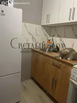 2-комнатная квартира: Чернушка, улица Нефтяников, 8 (41.2 м)