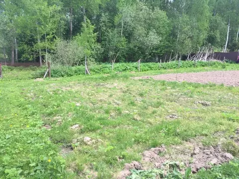 Участок в Московская область, Можайский муниципальный округ, с. ...