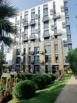 1-к кв. Краснодарский край, Сочи Курортный просп. (31.0 м)