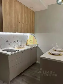 Студия Санкт-Петербург Витебский просп., 99к1 (24.2 м)