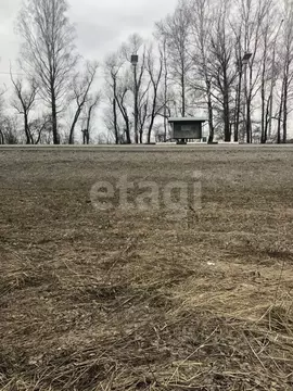 Участок в Брянская область, Брянский район, Отрадненское с/пос, с. ...