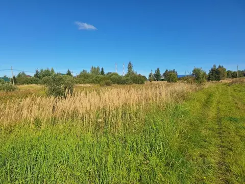 Участок в Московская область, Можайский муниципальный округ, д. Шохово ...