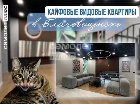 Студия Амурская область, Благовещенск Партизанская ул., 64/2 (31.1 м)