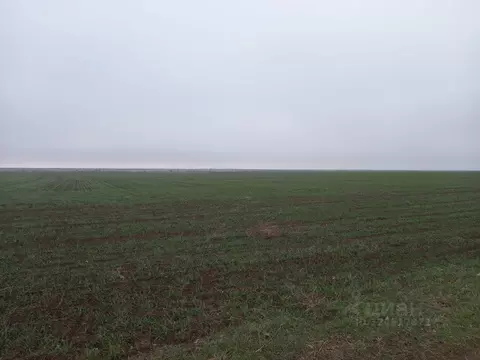 Участок в Крым, Симферопольский район, Перовское с/пос, с. Веселое  ...