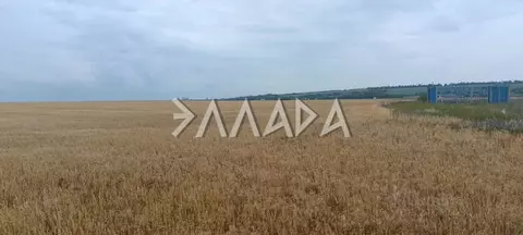 Участок в Ростовская область, Мясниковский район, Чалтырское с/пос, № ...