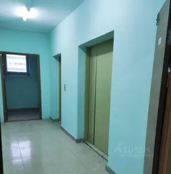 Студия Московская область, Старая Купавна Богородский городской округ, ...