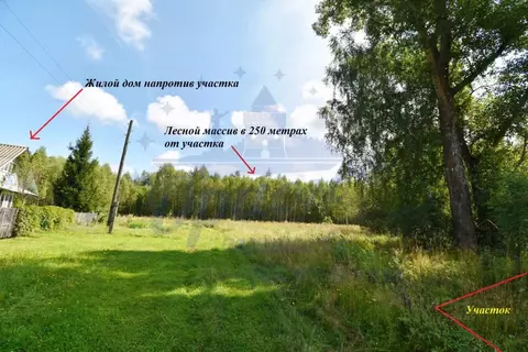 Участок в Нижегородская область, Бор городской округ, д. Волчиха  ...