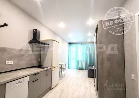 Студия Ростовская область, Ростов-на-Дону ул. Назарько, 4 (26.0 м)