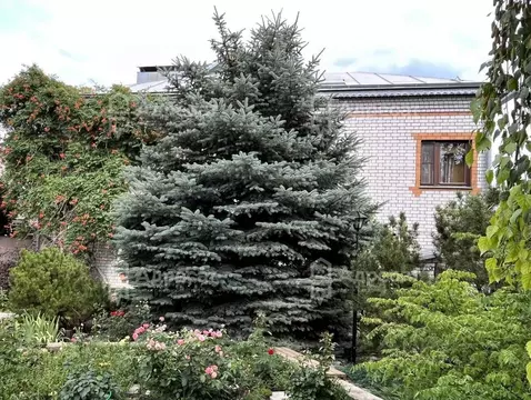 Дом в Волгоградская область, Волгоград Боровая ул. (353 м)