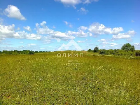 Участок в Вологодская область, Кирилловский муниципальный округ, д. ...