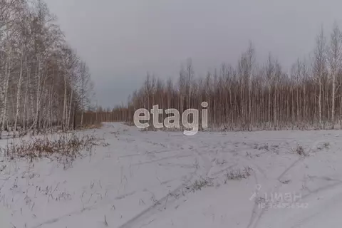 Участок в Челябинская область, Сосновский муниципальный округ, д. ...