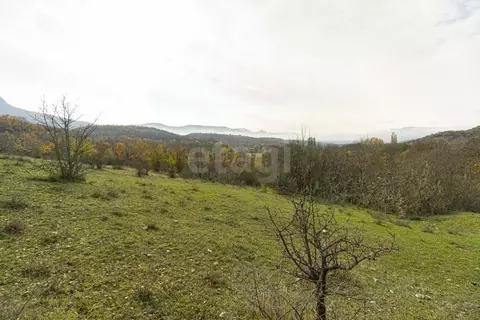 Участок в Крым, Бахчисарайский район, Зеленовское с/пос, с. Плотинное  ...