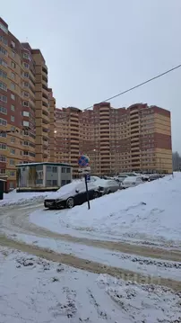 Студия Московская область, Дмитровский муниципальный округ, д. Целеево ...