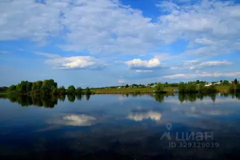 Участок в Рязанская область, Шацкий муниципальный округ, с. Польное ...