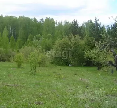 Участок в Мордовия, Лямбирский район, Скрябинское с/пос, д. ...