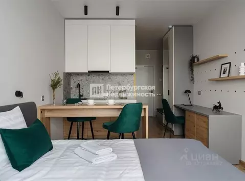 Студия Санкт-Петербург дор. На Турухтанные острова, 5к1 (25.1 м)