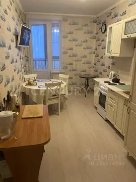 1-к кв. Санкт-Петербург ул. Русановская, 17к3 (45.6 м)