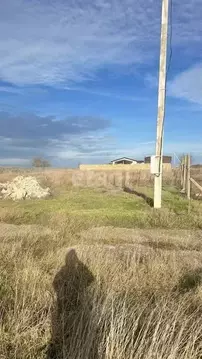 Участок в Крым, Черноморский район, с. Новосельское ул. Миндальная ...