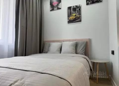 Студия Москва Березовая аллея, 19к3 (25.0 м)