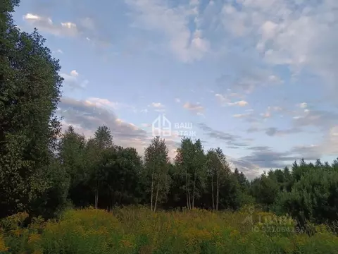 Участок в Калужская область, Калуга городской округ, д. Доможирово ...