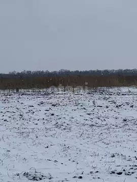 Участок в Белгородская область, Белгородский район, Головинское с/пос, ...