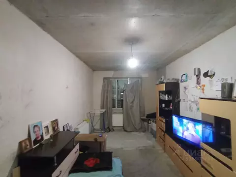 1-к кв. Воронежская область, Воронеж бул. Олимпийский, 12 (40.4 м)