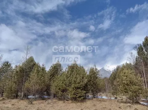Участок в Иркутская область, Куйтунский район, Харикское муниципальное ...