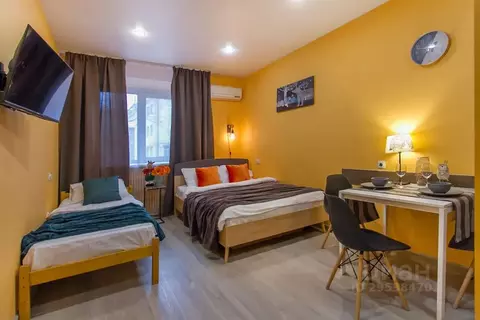 Студия Воронежская область, Воронеж ул. Кирова, 22 (24.0 м)