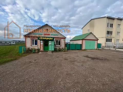 Помещение свободного назначения в Башкортостан, Дюртюлинский район, с. ...