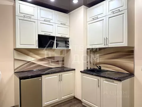 Студия Санкт-Петербург Кузнецовская ул., 58к1 (24.2 м)