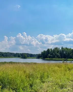Участок в Ленинградская область, Приозерский район, Ромашкинское ...