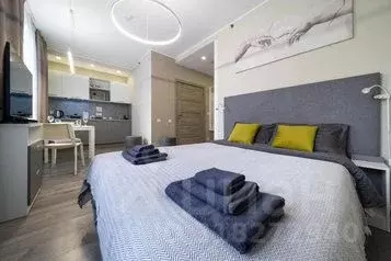 1-к кв. Санкт-Петербург Витебский просп., 101к1 (27.0 м)