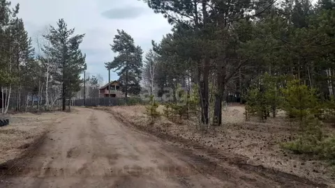 Участок в Забайкальский край, Читинский район, Радость ТСН  (8.1 сот.)