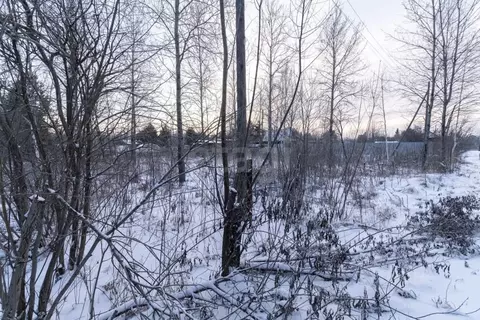 Участок в Тюменская область, Тюменский муниципальный округ, Нива СНТ ...