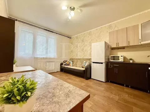 Студия Пензенская область, Пензенский район, Засечный сельсовет, с. ...