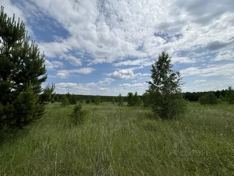 Участок в Челябинская область, Сосновский муниципальный округ, д. ...
