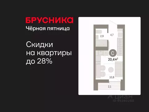 Студия Свердловская область, Екатеринбург ул. Гастелло, 19А (20.38 м)