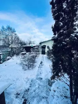 Дом в Пензенская область, Иссинский район, Центральная Усадьба совхоза ...